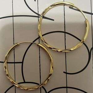 Elegant Gold Hoop Earrings